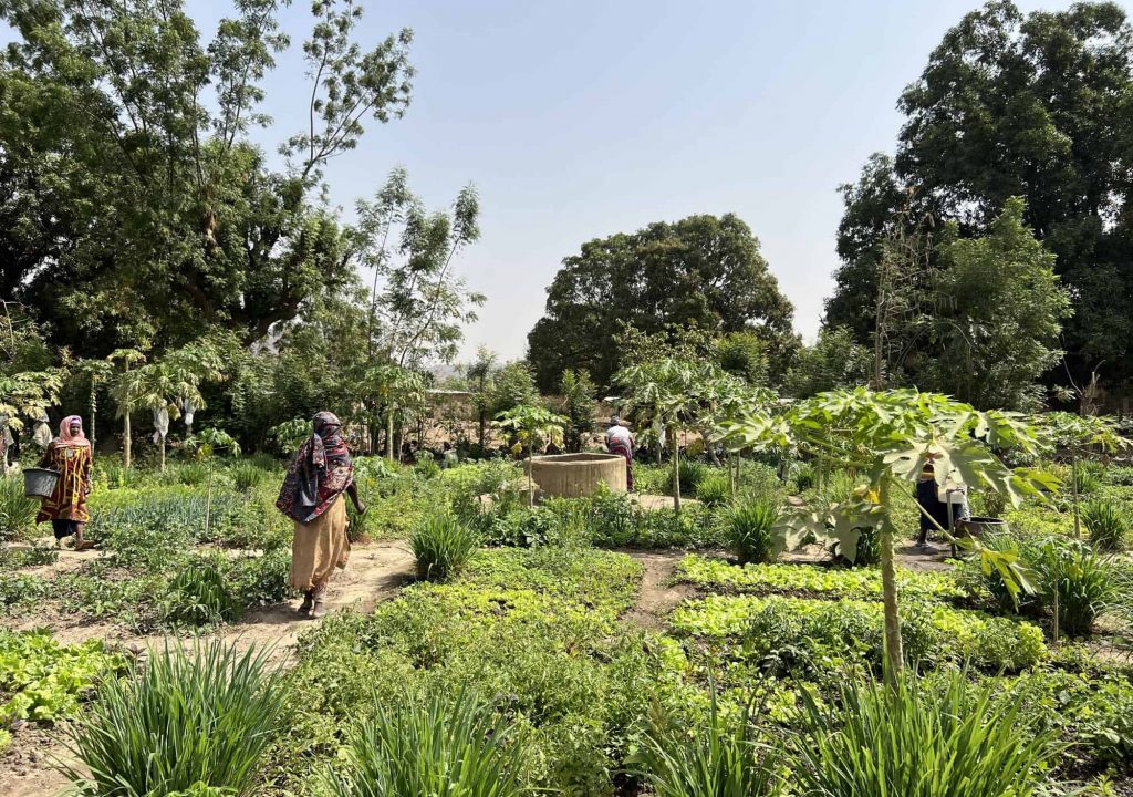 8_KarusellGarten_Siby